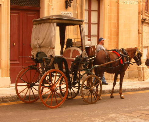 Traditional Maltese Horse Drawn Carraige (Karrozzin)